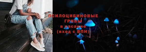 гидропоника Инта